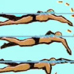 Crawl swimming, or freestyle, is a fast and efficient technique in which swimmers keep the