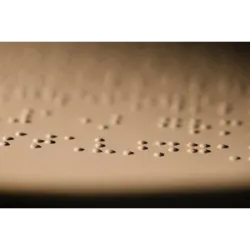 Leitura - Interpretação de Texto