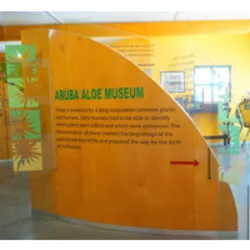 A Royal Aruba Aloe é uma empresa em Aruba especializada no cultivo e produção de produtos derivados de aloe vera, com um museu próprio sobre a planta. O passeio pelo museu e fábrica proporciona informações sobre o processo de produção e a história de 160 anos do cultivo do aloe vera em Aruba. Guias turísticos gratuitos, disponíveis em diversos idiomas, conduzem visitantes pela planta, laboratório, sala de envase e embalagem. A plantação de Hato, estabelecida em 1840, é visitável durante as excursões diárias. A loja de fábrica oferece produtos de cuidado corporal, solar e capilar.