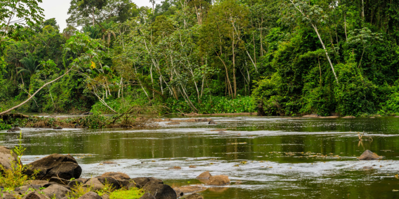 Turismo no Suriname Quiz Banner
