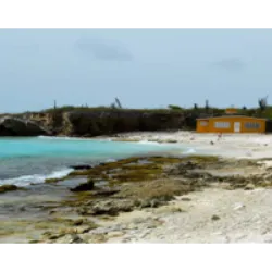 Boka Slagbaai, o ponto de mergulho mais ao sul do Parque Nacional Washington Slagbaai em Bonaire, oferece uma experiência rica em história com vestígios como pedras de lastro e âncoras antigas. Duas rotas de mergulho apresentam cânones antigos, sendo os do sul autênticos, em águas rasas, enquanto os da rota norte são fictícios, usados em um filme. A exploração desse mergulho fascinante requer pelo menos uma hora. A praia de Boka Slagbaai está no noroeste de Bonaire, a menos de dez quilômetros ao norte de Kralendijk.