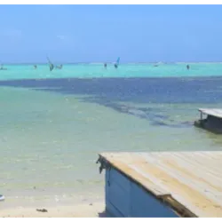 Lac Bay, na ilha de Bonaire, é uma baía rasa com manguezais e um pequeno porto para pesca. Reconhecida internacionalmente como um sítio Ramsar, a BirdLife a identificou como Área Importante para Aves devido a espécies ameaçadas. A baía também abriga garças e serve como poleiro noturno para fragatas, além de ser habitat para limícolas migratórias.