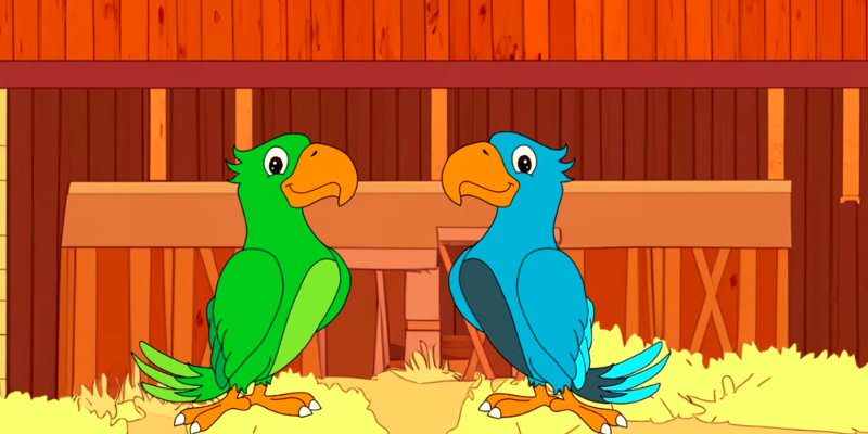 Parrot Jokes Quiz Banner