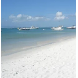 Isla de Coche, uma das três ilhas do Estado Nueva Esparta, Venezuela, está situada no Caribe, entre Isla Margarita e o continente. Cobrindo 55 km² com uma população de cerca de 8.200, a ilha é tropical, com clima médio de 27 a 38 °C. Descoberta por Cristóvão Colombo em 1498, Coche teve colonização no século XIX após uma tentativa no século XVI. Atualmente, sua economia depende do turismo, oferecendo condições ideais para windsurf e kitesurf a oeste. A ilha mantém comunicação estreita com Ilha Margarita e estado de Sucre, no continente venezuelano. A história do romance "Robinson