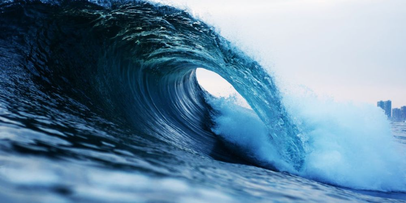 Surf Quiz Banner