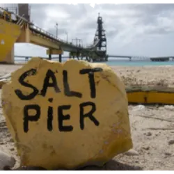 O Salt Pier em Bonaire é um local popular para mergulhadores e fotógrafos subaquáticos, conhecido por sua fácil entrada e acessibilidade. Os pilares do cais se transformam em obras de arte vivas, oferecendo uma rica variedade de vida marinha, incluindo grandes cardumes de peixes. O local é propício para avistar enguias, cavalos-marinhos e tartarugas, tornando-o adequado para mergulhos diurnos e noturnos. Fotógrafos encontram oportunidades excepcionais para capturar imagens macro e grande angular. No entanto, o mergulho só é permitido na ausência de barcos no cais, sendo necessário obter permissão na guarita local.