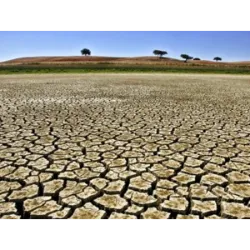 O Dia Mundial de Combate à Seca e à Desertificação é celebrado em 17 de junho</b