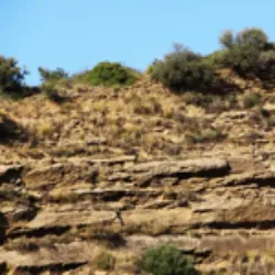 A diversidade de rochas sedimentares e dos processos geológicos que as originam, seja por meio de processos detríticos, químicos ou biogênicos, resulta na ampla variedade de paisagens sedimentares.
Uma paisagem sedimentar é aquela formada por rochas resultantes da deposição de materiais, como grãos ou fragmentos de outras rochas, substâncias dissolvidas na água ou restos de seres vivos. Essas rochas frequentemente se organizam em camadas ou estratos, que são visíveis nas paisagens.