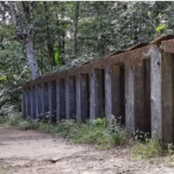 A Prisão dos Annamites (Bagne des Annamites ou Camp Crique Anguille) é uma antiga instituição na comuna de Montsinéry-Tonnegrande, Guiana Francesa, construída para prisioneiros anamitas que se rebelaram contra o domínio francês. Operou entre 1931 e 1944, originando-se da revolta de soldados anamitas em 1930. Após a revolta, cerca de 535 prisioneiros foram enviados para três campos, sendo 395 destinados ao Camp Crique Anguille para trabalhar no desenvolvimento do território Inini. A prisão foi fechada em dezembro de 1944, transferindo os prisioneiros para instalações normais. Em 2012, a área ao redor do antigo campo foi designada como área protegida, notável por sua flora e fauna, e em 2013, uma trilha foi construída para acesso a visitantes.