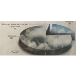 El oxígeno generado por estos seres vivos se acumuló lentamente en la atmósfera, lo que cambió su composición y c