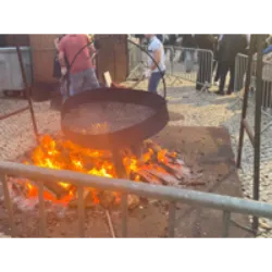 O Magusto é uma festividade entre outubro e novembro, associada a datas como o Dia de São Simão, Todos os Santos e São Martinho. É celebrado em torno de fogueiras, assando castanhas com jeropiga, água-pé ou vinho novo. Os corajosos pulam a fogueira, e "enfarruscar" com cinzas faz parte da tradição. Apesar da chuva no outono, o "verão de São Martinho" traz sol. A lenda de São Martinho, relacionada a um dia chuvoso, explica esse fenômeno. Uma tradição específica, o "Magusto da Velha", ocorre em Aldeia de Viçosa em 26 de dezembro, homenageando uma velha rica com lançamento de castanhas do campanário e orações. O evento em Barqueiros, Mesão Frio, conecta o magusto a rituais antigos em homenagem aos mortos.