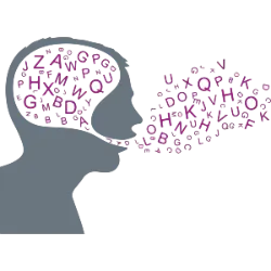 Registo e Tratamento da Informação