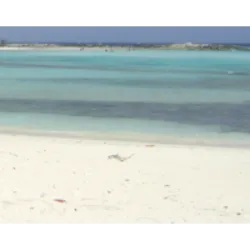 Baby Beach, conhecida como Klein Lagoen em Aruba, é uma lagoa rasa popular entre moradores e turistas, especialmente famílias com crianças devido às suas águas calmas. Apesar da proximidade com a refinaria de petróleo, as correntes locais mantêm a água limpa. A praia oferece snorkeling seguro, vida marinha diversificada e comodidades como lanchonete e aluguel de cadeiras. Carros com tração nas quatro rodas estão disponíveis para explorar a área. Importante notar que Baby Beach não permite nudismo, mas o topless é tolerado em áreas de resort específicas. A região tem uma história que remonta ao Aruba Esso Club dos anos 1950, hoje representado por um edifício abandonado com uma loja de mergulho em operação.