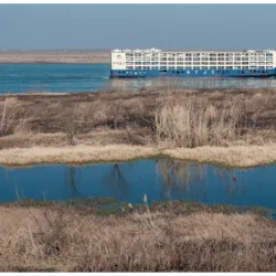 February 2nd is Wetlands Day, with the aim of raising awareness among the gl