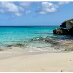 Kleine Knip, ou Playa Kenepa Chiki em Papiamento, é uma bela praia em Curaçao, no lado oeste da ilha, entre Westpunt e Lagún. Conhecida por suas águas claras e calmas, é ideal para o snorkeling, com uma rica vida marinha devido a um recife de coral nas proximidades. Dividida em duas partes, Kenepa Grandi e Kenepa Chiki, também chamadas de Grote Knip e Klein Knip, a área é acessível por uma única estrada. Klein Knip é famosa pelos pontos de mergulho ao longo da costa, enquanto Grote Knip oferece praias de areia branca, águas cristalinas e uma vista deslumbrante, sendo um local perfeito para fotografias.