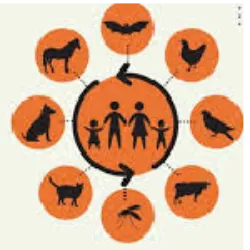 World Zoonosis Day is a celebration that takes place on July 6th of each yea