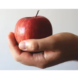 El 1 de diciembre es el día de comer una manzana roja en los Estados Unidos.