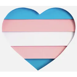 El 29 de enero se celebra el Día de la Visibilidad Trans, con el objetivo de