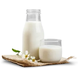  International Milk Day, celebrated on June 1 , highlights the importance of