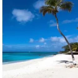 Boca Catalina em Aruba é uma baía exclusiva conhecida por ser um dos melhores locais para nadar e fazer snorkel. Localizada entre as praias de Arashi e Malmok, a pequena enseada de 350 metros enfrenta o oeste, proporcionando vistas deslumbrantes do Mar do Caribe. Com águas cristalinas e calmas, é popular entre locais e turistas nos fins de semana. Embora algumas áreas sejam rochosas, a praia é conhecida por sua diversidade de vida marinha, incluindo peixes tropicais e barracudas. O amanhecer é ideal para snorkel antes que o local fique movimentado, e há a chance de encontrar golfinhos selvagens na área. Boca Catalina oferece uma experiência única em um ambiente natural preservado.