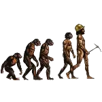 Algunas características específicas de algunas especies de homínidos: Australopithecus (vivió en África, el primer prima