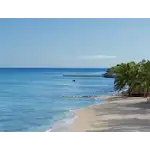 Cozumel é uma ilha localizada no Mar do Caribe, ao largo da Península de Yucatán, no México. É um destino turístico popular conhecido por suas praias deslumbrantes, recifes de coral espetaculares e atividades de mergulho e snorkel. As praias de Cozumel são de tirar o fôlego, com areia branca e águas cristalinas que variam de tons azul-turquesa a verde-esmeralda. A Playa Palancar, a Playa Mia e a Playa San Francisco são algumas das praias mais populares, oferecendo áreas para banhos de sol, relaxamento e uma variedade de esportes aquáticos. Os locais de mergulho mais famosos de Cozumel incluem Palancar Reef, Columbia Reef, Santa Rosa Wall e Paradise Reef. Esses locais oferecem uma experiência única para explorar cavernas submarinas, paredes de coral íngremes e uma grande variedade de peixes tropicais, tartarugas marinhas e até tubarões. A cidade de San Miguel, a principal cidade da ilha, possui uma atmosfera descontraída, com lojas, restaurantes e bares à beira-mar.