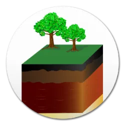 Types of Soils