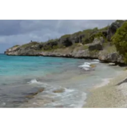 A Praia 1000 Steps em Bonaire, situada no sudoeste, é um destino popular para mergulhadores e praticantes de snorkel. Acesso através de uma escadaria com vista para o Mar do Caribe, a praia possui areia branca, coral petrificado e cascalho, cercada por falésias calcárias. Conhecida por sua rica vida marinha, é um local famoso para mergulho e snorkel, destacando-se como o melhor ponto para essas atividades em Bonaire. O Parque Nacional Marinho exige uma Taxa de Natureza para entrada. A área é tranquila, exceto nos finais de semana, quando atrai visitantes locais. Ideal para mergulho noturno e fotografia subaquática, a conservação de tartarugas marinhas é prioridade em Bonaire, liderada pela Sea Turtle Conservation Bonaire (STCB).