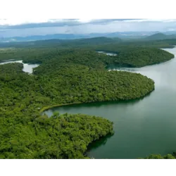 O Dia Nacional da Mata Atlântica, celebrado em 27 de maio, destaca a importância desse bioma no Brasil e promove a conscientização sobre sua conservação e recuperação. É uma oportunidade para sensibilizar a população e incentivar ações como plantio de árvores, limpeza de áreas naturais e educação ambiental. Também destaca a necessidade de políticas públicas eficazes para proteger esse ecossistema vital.