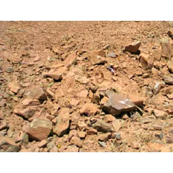 A Valuable Resource for Agriculture and Sustainability
Characterized by its composition rich in calcium carbonate (CaCO₃) and other minerals, it plays a crucial role in various human activities, especially in agriculture. This type of soil, common in regions with a dry or semi-arid climate.
Features
Mineral Composition: Predominance of limestone and magnesium, which results in an alkaline pH, making it less acidic than other types of soil.
Texture: Can vary between clayey and sandy, depending on the region, with good drainage in sandier soils.
Color: Generally light, varying between white, gray and brown tones, due to the presence of minerals.
Moisture Retention: Moderate, which may vary depending on the composition and density of the soil.
Properties and Benefits
Acidity Correction: Limestone soil is known to balance the acidity of neighboring areas when combined with other types of soil, improving growing conditions.
Source of Nutrients: Rich in calcium and magnesium, essential elements for healthy plant growth.
High Drainage: In sandier soils, water drains quickly, reducing the risk of waterlogging.
Stability: Resistant to erosion, especially in more compacted limestone soils.