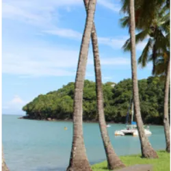 As Ilhas da Salvação, ou Îles du Salut, são um conjunto de pequenas ilhas vulcânicas localizadas a 11 km da costa da Guiana Francesa. Parte da comuna de Caiena, essas ilhas foram uma colônia penal notória a partir de 1852, conhecida pela sua severidade. Gradualmente eliminado, o sistema penal encerrou-se em 1953. Atualmente, as ilhas são um popular destino turístico, famosas pelo romance "Papillon" de Henri Charrière, que passou nove anos detido lá.