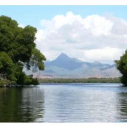 O Parque Nacional Laguna de la Restinga, na Isla Margarita, Venezuela, é uma área de importância internacional nas zonas úmidas, com uma vasta lagoa salgada cercada por manguezais e canais. Estabelecido em 1974, cobre uma diversidade de ecossistemas, incluindo manguezais, bosques de espinheiros e arbustos. A lagoa abriga várias espécies marinhas, enquanto aves como íbis escarlates, fragatas e flamingos são comuns. O parque oferece passeios de barco pelos canais e manguezais, permitindo aos turistas explorar suas belezas naturais e desfrutar de uma experiência gastronômica com peixe fresco frito em uma praia de conchas.