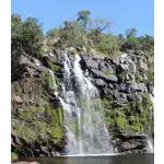 A Chapada dos Veadeiros é uma região de beleza surpreendente, com cachoeiras deslumbrantes, formações rochosas impressionantes e uma energia única. É um destino imperdível para quem busca contato com a natureza, espiritualidade e aventura em meio a um ambiente preservado e encantador. Além das atividades de ecoturismo e espiritualidade, a região da Chapada dos Veadeiros oferece uma rica fauna e flora, com várias espécies endêmicas. É possível avistar animais como veados-campeiros, lobos-guarás, tamanduás-bandeira e aves coloridas, como araras e tucanos.