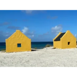 Slave Huts: Bonaire, com limitados recursos naturais, tornou-se estratégica para os holandeses devido à abundância de sal. Após sua captura em 1633, a ilha passou por várias trocas de mãos até retornar à Holanda em 1816. Em 1837, Bonaire prosperava como centro de produção de sal, evidenciado por obeliscos coloridos indicando tipos de sal. O processo envolvia trabalho árduo de escravos, preservado nas Cabanas dos Escravos, testemunhos históricos mantidos. Essas cabanas eram locais de moradia e armazenamento para os escravos, que enfrentavam condições desafiadoras e contribuíam para o comércio de sal. Placas informativas e as próprias cabanas preservam essa história, destacando a triste realidade da escravidão ligada à extração de sal em Bonaire.