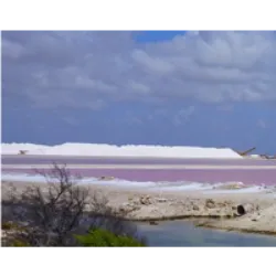 O Pekelmeer Flamingo Sanctuary é uma das quatro regiões globais onde os flamingos se reproduzem. Localizado no extremo sul da ilha, o santuário abriga mais de dez mil flamingos caribenhos. A coloração rosa das piscinas contrasta com as salinas brancas, devido à presença de pequenas artêmias rosadas na água. Turistas não têm acesso direto ao santuário, mas podem observar os flamingos com binóculos na estrada ou nas proximidades da Praia Rosa. A cor intensa dos flamingos de Bonaire é resultado da dieta rica em carotenos vermelhos provenientes dos microrganismos presentes na água salgada. O local também atrai diversas outras espécies de aves, como águias-pescadoras, biguás, garças e fragatas.