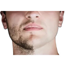 1 de novembro inicia o dia Novembro Sem Barba (também conhecido como No-Shave No