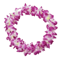 O Lei Day, um evento anual que celebra a cultura havaiana, ocorre em 1º de maio. Destacado pelos colares de flores conhecidos como "leis", cada ilha do Havaí tem sua própria versão, feita com flora local, simbolizando o espírito aloha de amor e amizade. As festividades englobam desfiles, competições de leis, danças hula e o concurso Lei Day Queen. Escolas desempenham um papel fundamental, oferecendo workshops e performances que celebram a cultura havaiana. Don Blanding, um escritor e poeta havaiano, foi o proponente do feriado em 1928, com sua oficialização ocorrendo no ano seguinte. A escolha da data coincide com a chegada da primavera, quando as flores estão em seu esplendor.