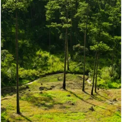 Dinâmicas da geosfera: A movimentação das placas tectônicas e o ciclo das rochas são processos que moldam as paisagens, formam solos e criam novos ambientes, impulsionando a evolução e a diversidade das espécies.
Água: A abundância de água líquida é essencial para a vida, já que compõe entre 70% a 90% do peso corporal dos seres vivos e participa de todos os seus processos vitais.
Ambientes naturais: A variedade de habitats na Terra favorece a capacidade de adaptação e o crescimento da biodiversidade, aumentando as chances de sobrevivência e continuidade das espécies.