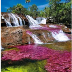 O rio Caño Cristales, localizado no centro da Colômbia, destaca-se por suas cores vibrantes, atribuídas a uma planta aquática singular. Com uma paleta que inclui vermelho, amarelo, negro e azul, o rio percorre o Parque Nacional Natural da Serra da Macarena. Após anos de conflitos armados que mantiveram o local fechado, o parque reabriu há apenas quatro anos, aspirando tornar-se um importante destino ecoturístico na Colômbia. A história do parque remonta à metade do século passado, quando camponeses se estabeleceram na área após serem expulsos de suas terras, desencadeando décadas de conflitos entre forças governamentais, paramilitares e traficantes de drogas.