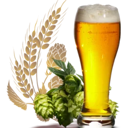 Explore mais sobre A cerveja já foi mais segura que a água
Na Idade Média, a água muitas vezes estava contami..