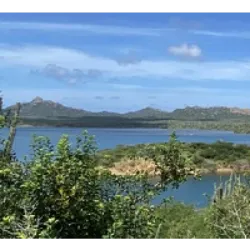 Gotomeer, a maior lagoa de água salgada de Bonaire, é um ponto de encontro para flamingos caribenhos. Bonaire é um dos raros lugares onde os flamingos cor-de-rosa constroem ninhos, sendo melhor observados de janeiro a junho. A estrada pavimentada ao longo da lagoa oferece vistas privilegiadas, permitindo a observação dessas aves magníficas, conhecidas como "nuvens rosa", que cuidam de seus filhotes de plumagem cinza. Gotomeer está situado no Parque Nacional Washington Slagbaai.