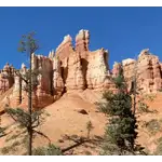 El Parque Nacional Bryce Canyon es conocido por sus distintivas formaciones rocosas llamadas hoodoos. Estas estructuras 