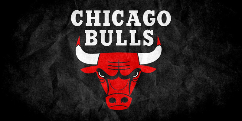 Bulls Quiz Banner