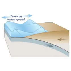 Explore mais sobre Os tsunamis são ondas gigantes formadas no oceano devido a distúrbios submarinos, como ter..