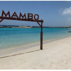 Mambo Beach, ou Seaquarium Beach, no sul de Curaçao, é uma praia particular popular com uma estrutura premium, exigindo taxa de uso. Frequente nos fins de semana, atrai diversos visitantes, incluindo jovens, famílias e idosos. O Mambo Beach Club oferece festas noturnas, enquanto a área conta com parques infantis, trampolim e um parque de diversões. Com diversos restaurantes, lojas e um calçadão, a praia atende a todas as idades, caracterizando-se como um local animado e diversificado. Sua localização próxima a Willemstad pode torná-la movimentada, especialmente aos domingos.