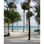 Cancún é um dos destinos turísticos mais populares do México e está localizado na Península de Yucatán, no estado de Quintana Roo. Conhecida por suas praias deslumbrantes e águas cristalinas, Cancún oferece uma combinação única de beleza natural, atividades emocionantes e infraestrutura turística moderna. As praias de Cancún são mundialmente famosas por sua areia branca e fina, banhada pelas águas azul-turquesa do Mar do Caribe. As praias mais populares incluem a Playa Delfines, a Playa Norte e a Playa Tortugas, onde os visitantes podem relaxar, nadar, fazer mergulho com snorkel ou até mesmo praticar esportes aquáticos, como o jet ski e o parasailing.