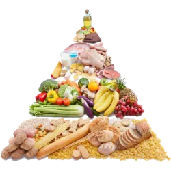 Proteína: Verdade ou Mito