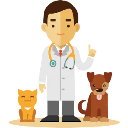 Explore more about Veterinarian 